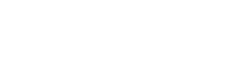 Global Seguridad Integral